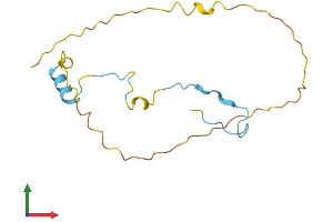 AlphaFold protein structure predicition of Human Recombinant SNRNP27 Protein, UniprotID Q8WVK2