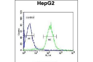 Flow cytometric analysis of HepG2 cells (right histogram) compared to a negative control cell (left histogram). (PLTP anticorps  (C-Term))
