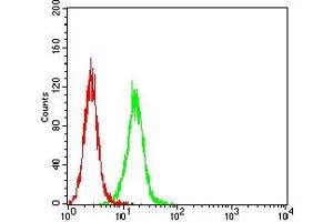 Flow cytometric analysis of Hela cells using CHGA mouse mAb (green) and negative control (red).