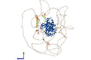 AlphaFold protein structure predicition of Human Recombinant USP53 Protein, UniprotID Q70EK8