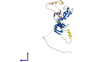 AlphaFold protein structure predicition of Mouse Recombinant Pcgf2 Protein, UniprotID P23798