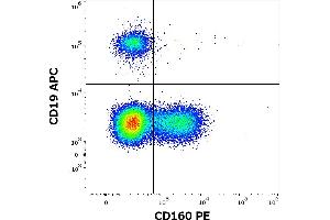 Flow cytometry multicolor surface staining of human lymphocytes stained using anti-human CD160 (BY55) PE antibody (10 μL reagent / 100 μL of peripheral whole blood) and anti-human CD19 (LT19) APC antibody (10 μL reagent / 100 μL of peripheral whole blood).