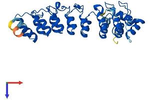 AlphaFold protein structure predicition of Human Recombinant ASB7 Protein, UniprotID Q9H672