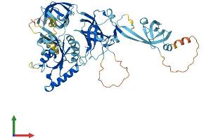 AlphaFold protein structure predicition of Human Recombinant EEFSEC Protein, UniprotID P57772