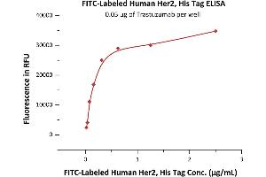 Immobilized Trastuzumab at 0.