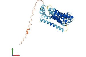 AlphaFold protein structure predicition of Mouse Recombinant Rhbdl2 Protein, UniprotID A2AGA4