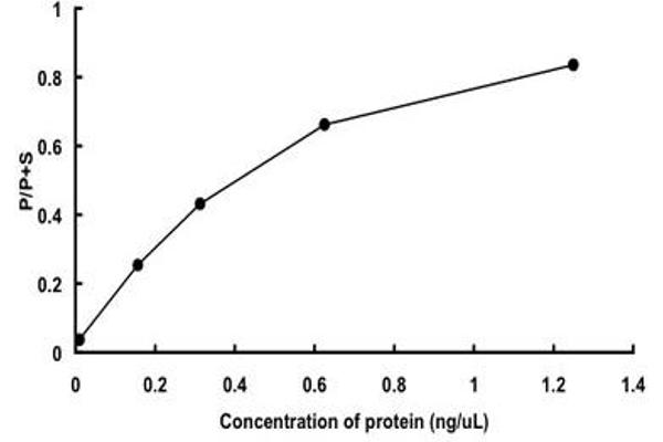 TSSK1B Protein (AA 1-367) (GST tag)