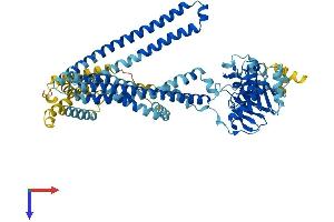 AlphaFold protein structure predicition of Mouse Recombinant Tap2 Protein, UniprotID P36371