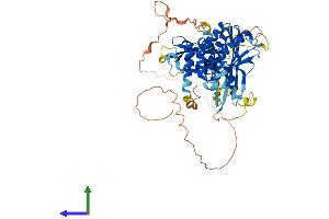 AlphaFold protein structure predicition of Mouse Recombinant Lgsn Protein, UniprotID Q8CIX8