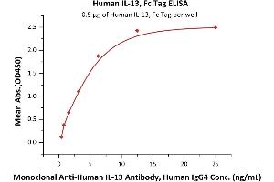Immobilized Human IL-13, Fc Tag (ABIN6923159,ABIN6938841) at 5 μg/mL (100 μL/well) can bind Monoclonal A IL-13 Antibody, Human IgG4 with a linear range of 0.