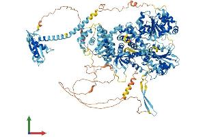 AlphaFold protein structure predicition of Mouse Recombinant Dhx29 Protein, UniprotID Q6PGC1