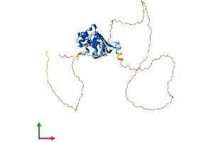 AlphaFold protein structure predicition of Human Recombinant HNRNPA1 Protein, UniprotID P09651
