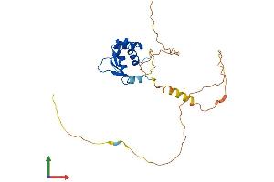 AlphaFold protein structure predicition of Mouse Recombinant Fev Protein, UniprotID Q8QZW2