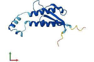 AlphaFold protein structure predicition of Human Recombinant GOLGA7 Protein, UniprotID Q7Z5G4