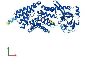 AlphaFold protein structure predicition of Mouse Recombinant Ttc5 Protein, UniprotID Q99LG4