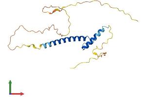 AlphaFold protein structure predicition of Human Recombinant MSC Protein, UniprotID O60682