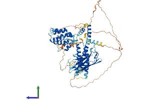 AlphaFold protein structure predicition of Mouse Recombinant Gga1 Protein, UniprotID Q8R0H9