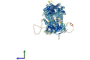 AlphaFold protein structure predicition of Mouse Recombinant Abcc6 Protein, UniprotID Q9R1S7