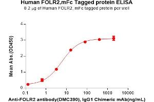 ELISA plate pre-coated by 2 μg/mL (100 μL/well) Human F Protein, mFc Tag(ABIN7092685, ABIN7272160 and ABIN7272161) can bind Anti-F antibody, IgG1 Chimeric mAb in a linear range of 0.