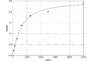 Cyclin-Dependent Kinase Inhibitor 1A (p21, Cip1) (CDKN1A) ELISA Kit