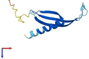 AlphaFold protein structure predicition of Human Recombinant COMMD6 Protein, UniprotID Q7Z4G1