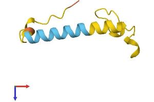 AlphaFold protein structure predicition of Human Recombinant SNHG12 Protein, UniprotID Q9BXW3