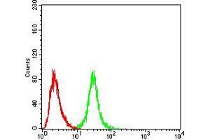 Flow cytometric analysis of Hela cells using OTUD4 mouse mAb (green) and negative control (red).