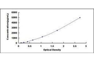 ELISA image for Platelet Factor 4 (PF4) ELISA Kit (ABIN415576)
