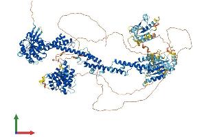 AlphaFold protein structure predicition of Human Recombinant ARHGAP35 Protein, UniprotID Q9NRY4