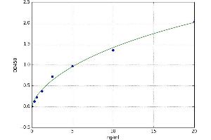 phosphofructokinase, Muscle (PFKM) ELISA Kit