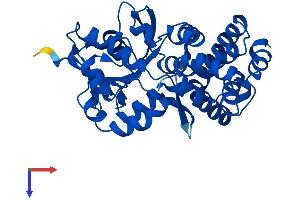 AlphaFold protein structure predicition of Human Recombinant GPD1L Protein, UniprotID Q8N335