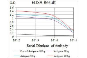ELISA image for anti-T Antigen (AA 257-309) antibody (ABIN1845736) (T Antigen (AA 257-309) anticorps)