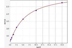 Typical standard curve (Vitamin D Receptor Kit ELISA)