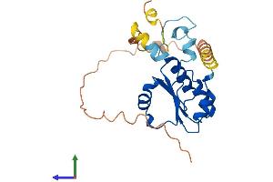 AlphaFold protein structure predicition of Human Recombinant METTL15P1 Protein, UniprotID P0C7V9