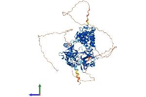 AlphaFold protein structure predicition of Mouse Recombinant Lig1 Protein, UniprotID P37913