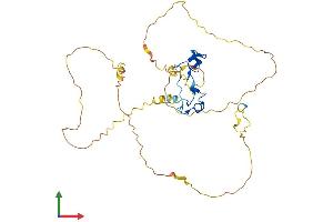 AlphaFold protein structure predicition of Human Recombinant ZFP36L1 Protein, UniprotID Q07352