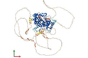 AlphaFold protein structure predicition of Human Recombinant USP6NL Protein, UniprotID Q92738