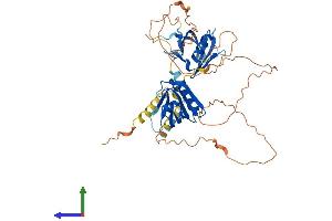 AlphaFold protein structure predicition of Mouse Recombinant Dok3 Protein, UniprotID Q9QZK7