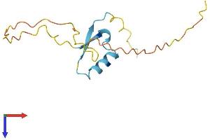 AlphaFold protein structure predicition of Human Recombinant RIPPLY2 Protein, UniprotID Q5TAB7