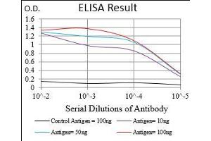 Black line: Control Antigen (100 ng), Purple line: Antigen(10 ng), Blue line: Antigen (50 ng), Red line: Antigen (100 ng),