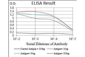 Black line: Control Antigen (100 ng), Purple line: Antigen(10 ng), Blue line: Antigen (50 ng), Red line: Antigen (100 ng), (Desmoglein 3 anticorps  (AA 55-159))