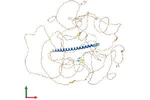 AlphaFold protein structure predicition of Human Recombinant TSC22D1 Protein, UniprotID Q15714