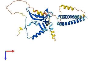 AlphaFold protein structure predicition of Human Recombinant TAF7 Protein, UniprotID Q15545