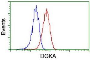 Flow cytometric Analysis of Jurkat cells, using anti-DGKA antibody (ABIN2455398), (Red), compared to a nonspecific negative control antibody, (Blue). (DGKA anticorps)
