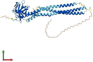 AlphaFold protein structure predicition of Human Recombinant PICK1 Protein, UniprotID Q9NRD5