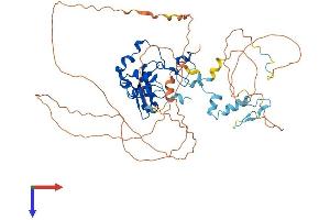 AlphaFold protein structure predicition of Mouse Recombinant Cnot2 Protein, UniprotID Q8C5L3