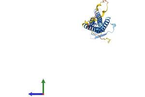 AlphaFold protein structure predicition of Human Recombinant CLDN14 Protein, UniprotID O95500