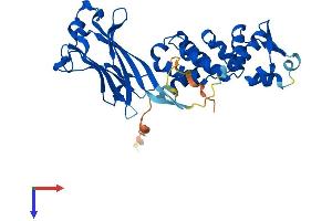 AlphaFold protein structure predicition of Mouse Recombinant Spop Protein, UniprotID Q6ZWS8
