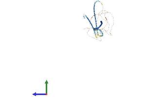 AlphaFold protein structure predicition of Mouse Recombinant Spag5 Protein, UniprotID Q7TME2