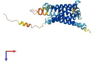 AlphaFold protein structure predicition of Human Recombinant TAS2R39 Protein, UniprotID P59534